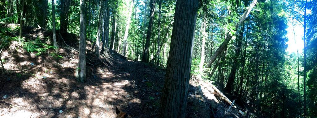 Hitching Post Resort Kelowna Extérieur photo